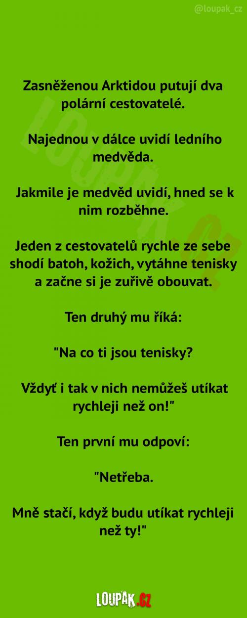 Dva polární cestovatelé