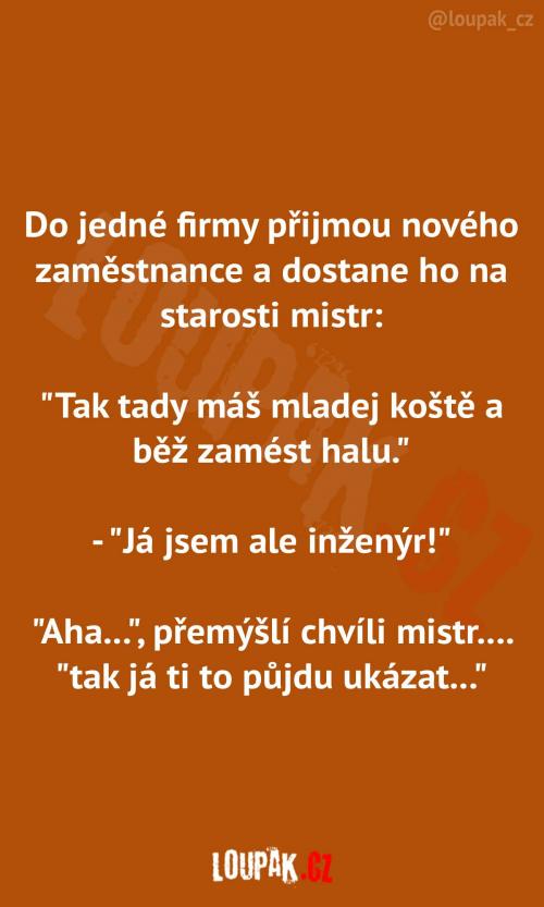  Nový zaměstnanec ve firmě 
