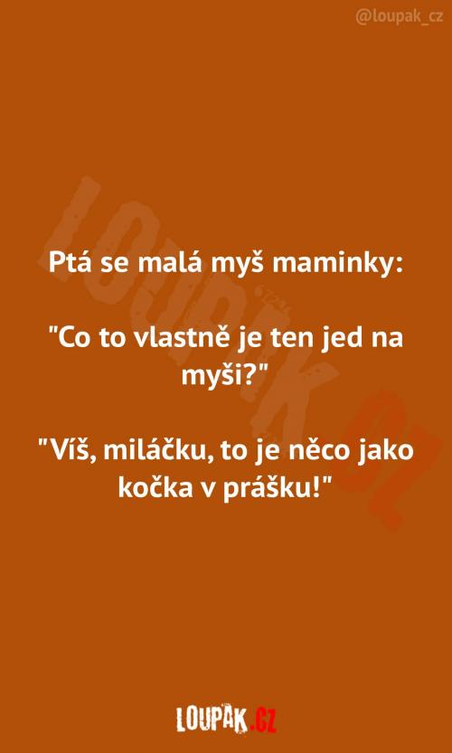  Co je to jed na myši  