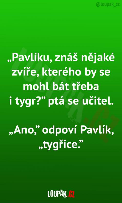 Zvíře, kterého se bojí i tygr Zvíře, kterého se bojí i tygr