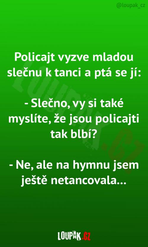  Jsou policajti fakt tak blbí? 