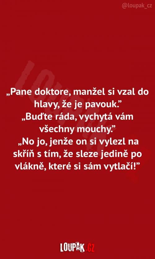  Manžel jako pavouk   