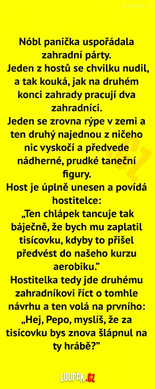 Obří zahradní party Obří zahradní party