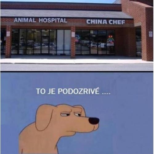  Zvířecí nemocnice? 