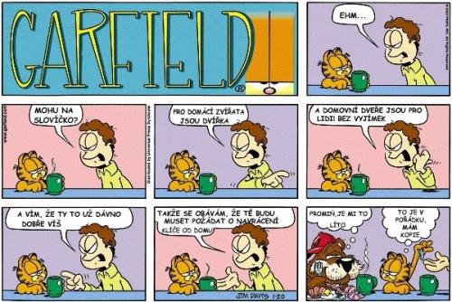  Garfield 