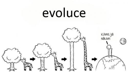 Evoluce