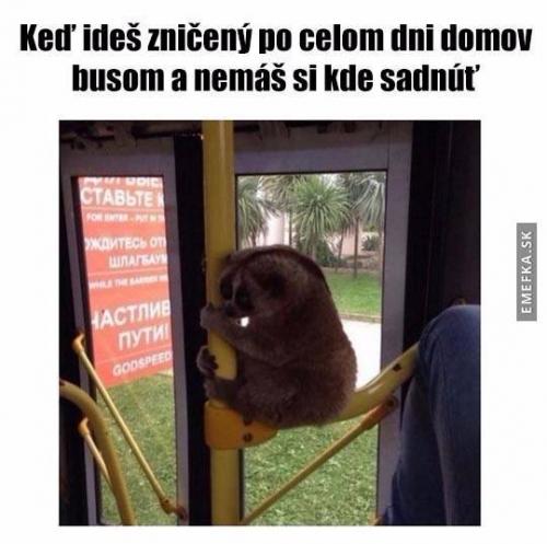 Odpočinek