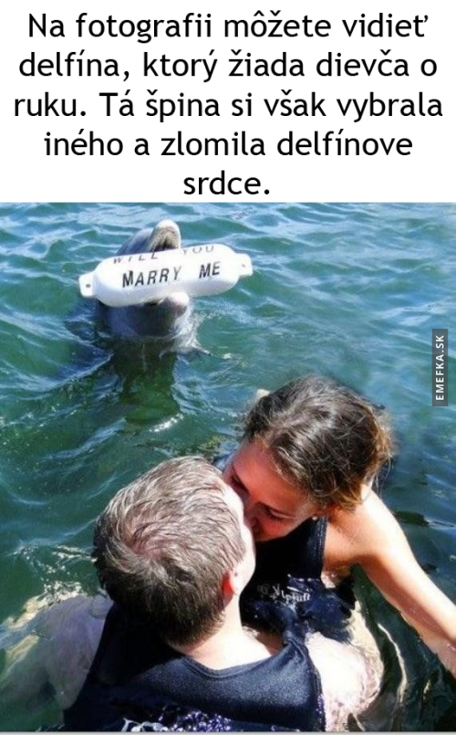  Chudák delfin 