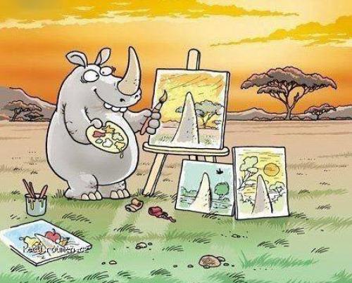  Výhled nosorožce 