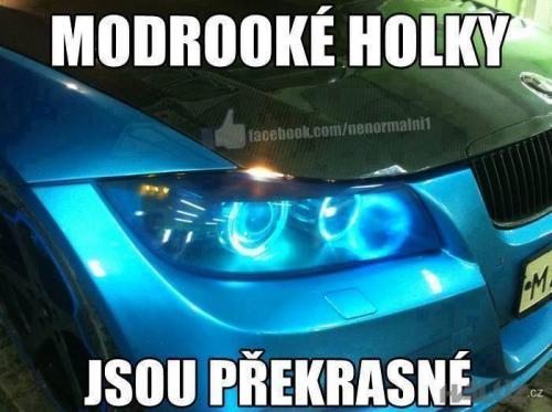  Modrooké holky 