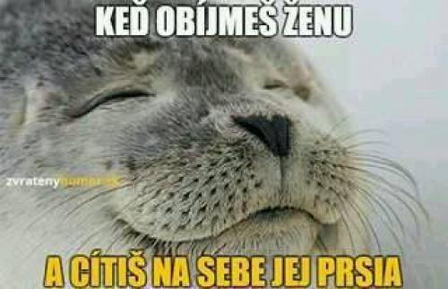 Když cítíš prsa holky