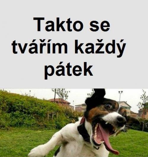  Každý pátek 