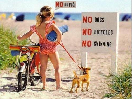 No dogs.... 