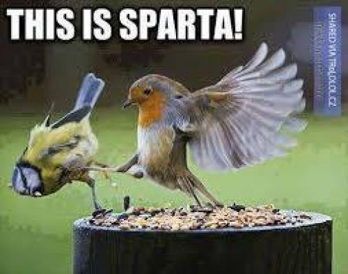  Sparta 