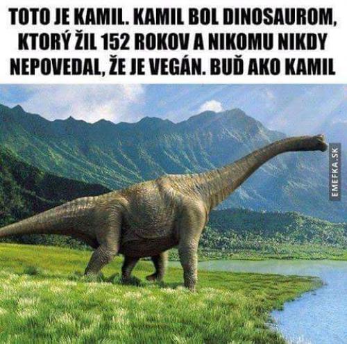  Dinosaur Kamil :D 