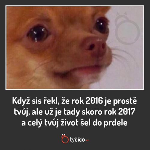  Rok o ničem 