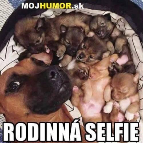  Rodinná selfie 