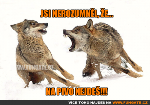 Jsi nerozuměl