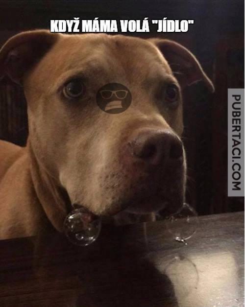 Jííídlooo