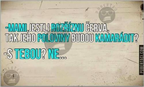 Kamaárid