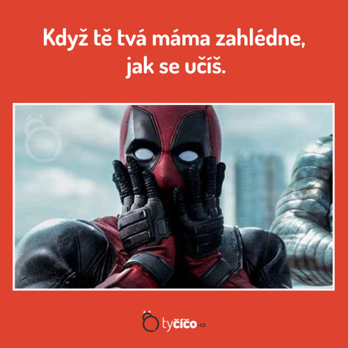  Učení 