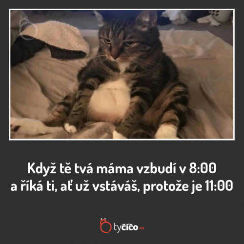  Vstávání 