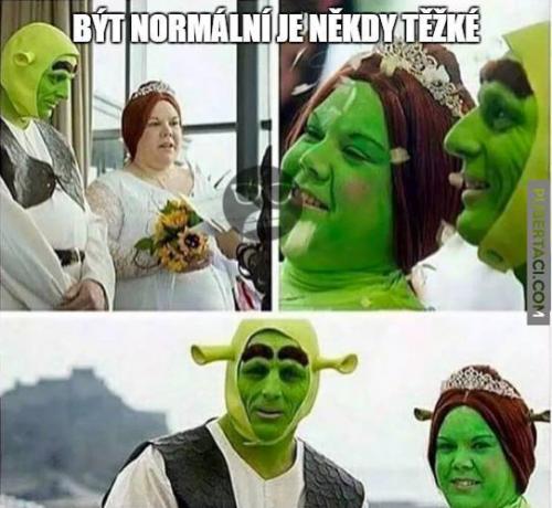  Normální svět 