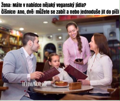  Veganská jídla 