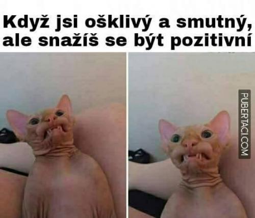  Pozitivní 