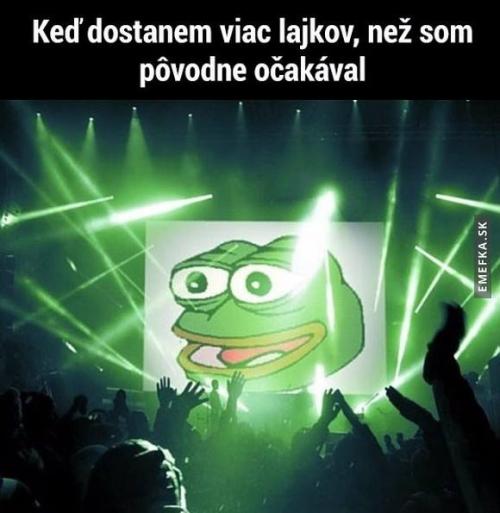  Očekávání 