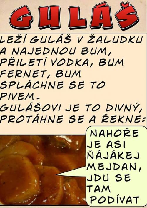 V žaludku