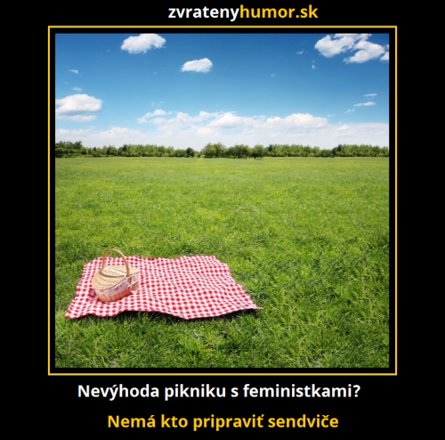  Piknik s feministkami 