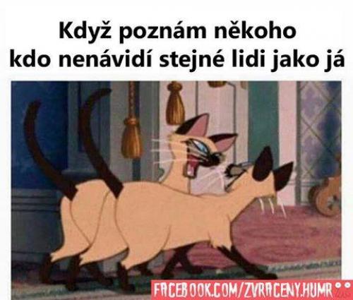  Kámoš 