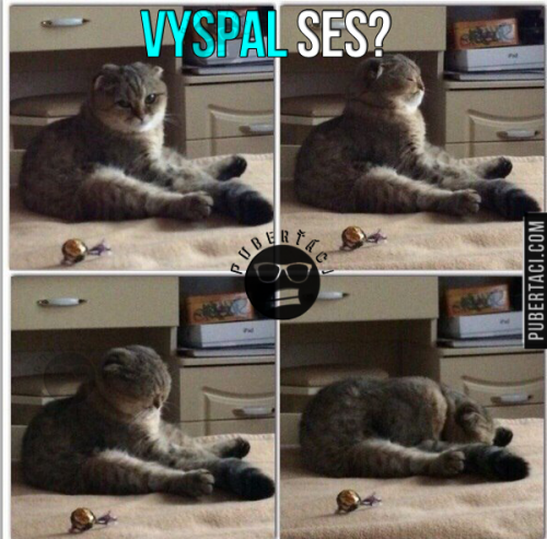  Jak ses vyspal 