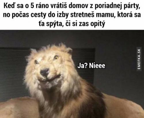  Návrat 