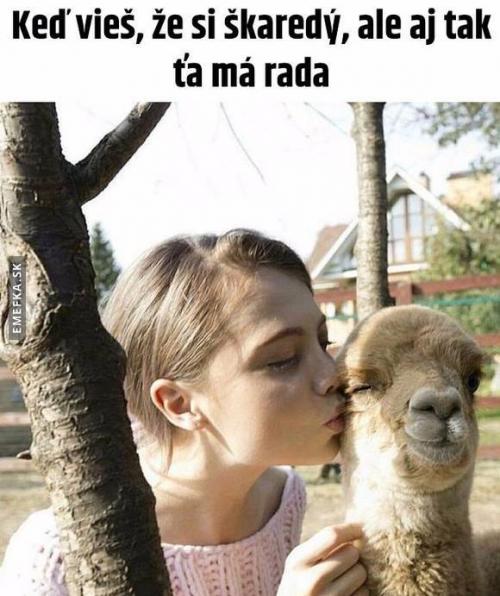 Jsi škaredý