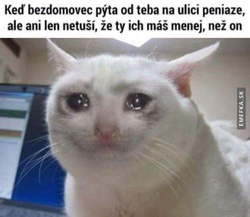  Bezdomovec 