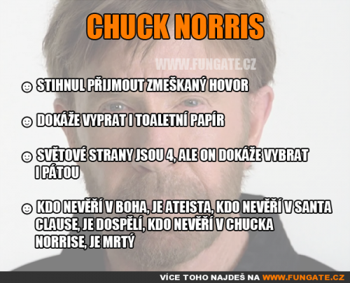 Chuck Norris #4