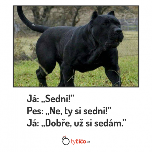 Sedni
