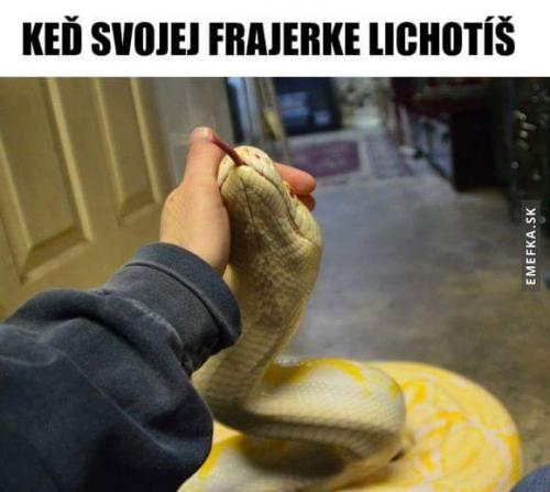 Lichotka