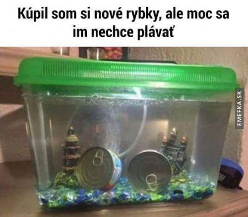  Nové rybky 