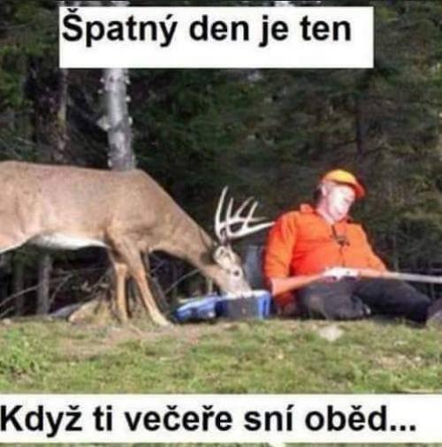  Večeře jí oběd 