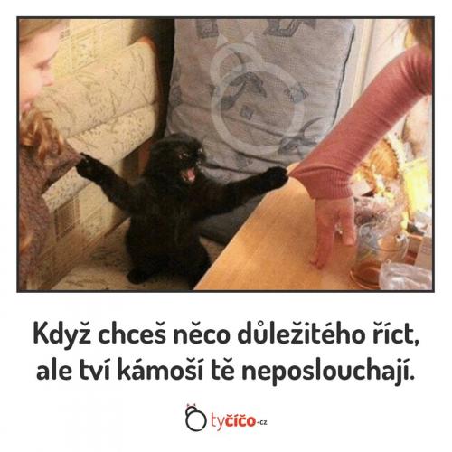  Něco důležitého 