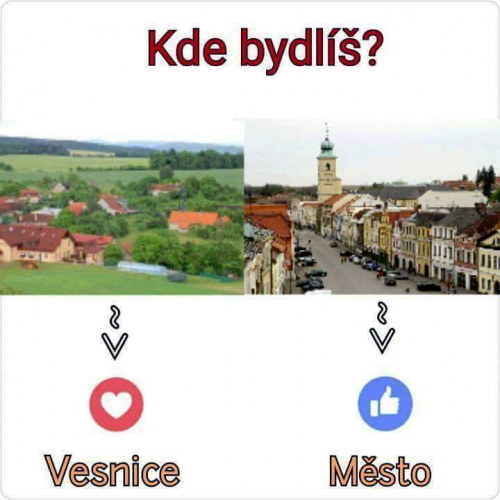  Bydlení 