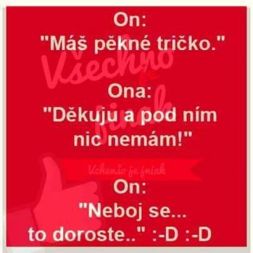  Pěkné tričko 