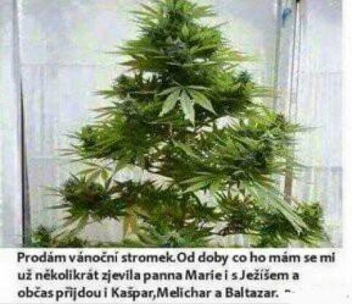  Vánoční stromek 