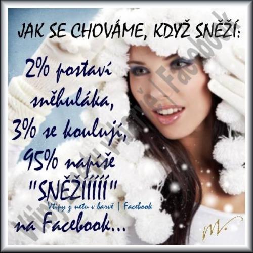 Když sněží