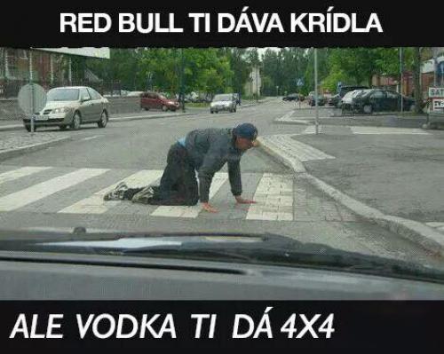  Redbull vs vodka 
