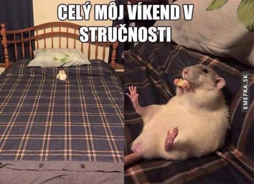  Můj víkend 