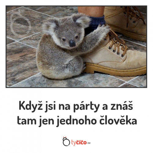  Jeden člověk na party 